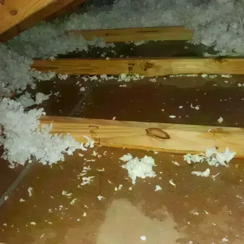 Attic Water Damage in Akron, IA