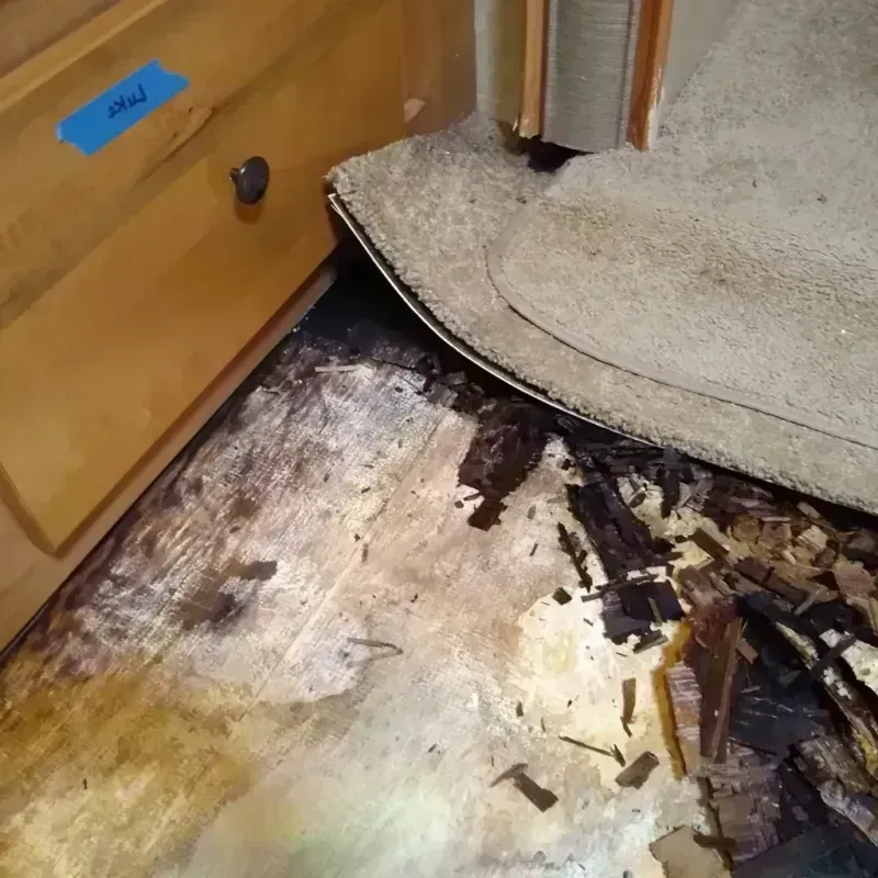 Wood Floor Water Damage in Akron, IA